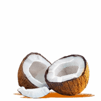 Coconut