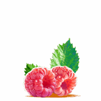 Raspberry