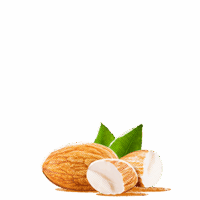 Almond