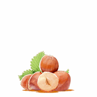 Hazelnuts