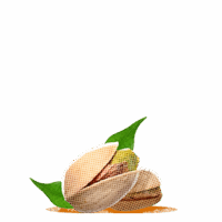 Pistachio